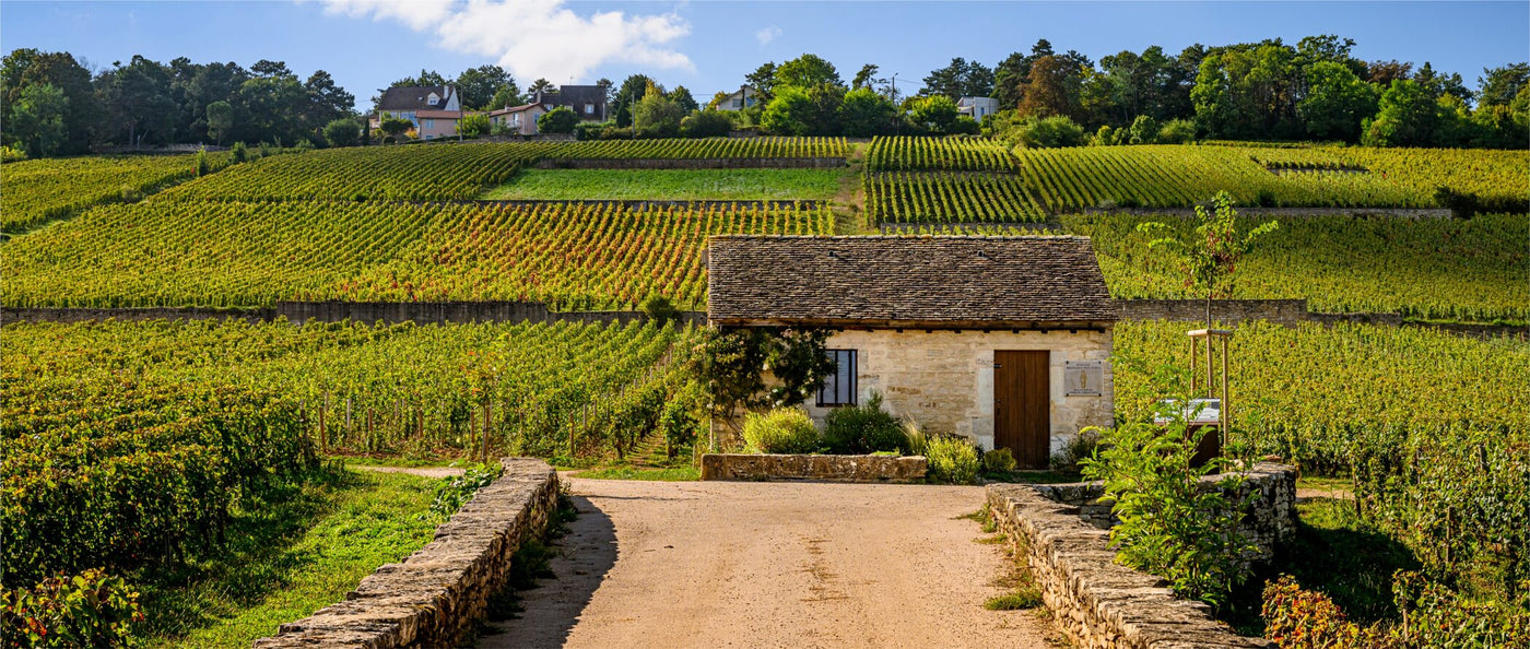 Bourgogne