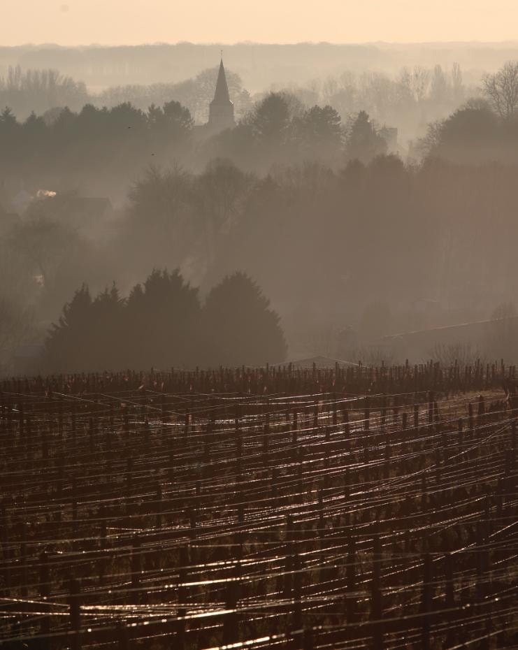 Faiveley