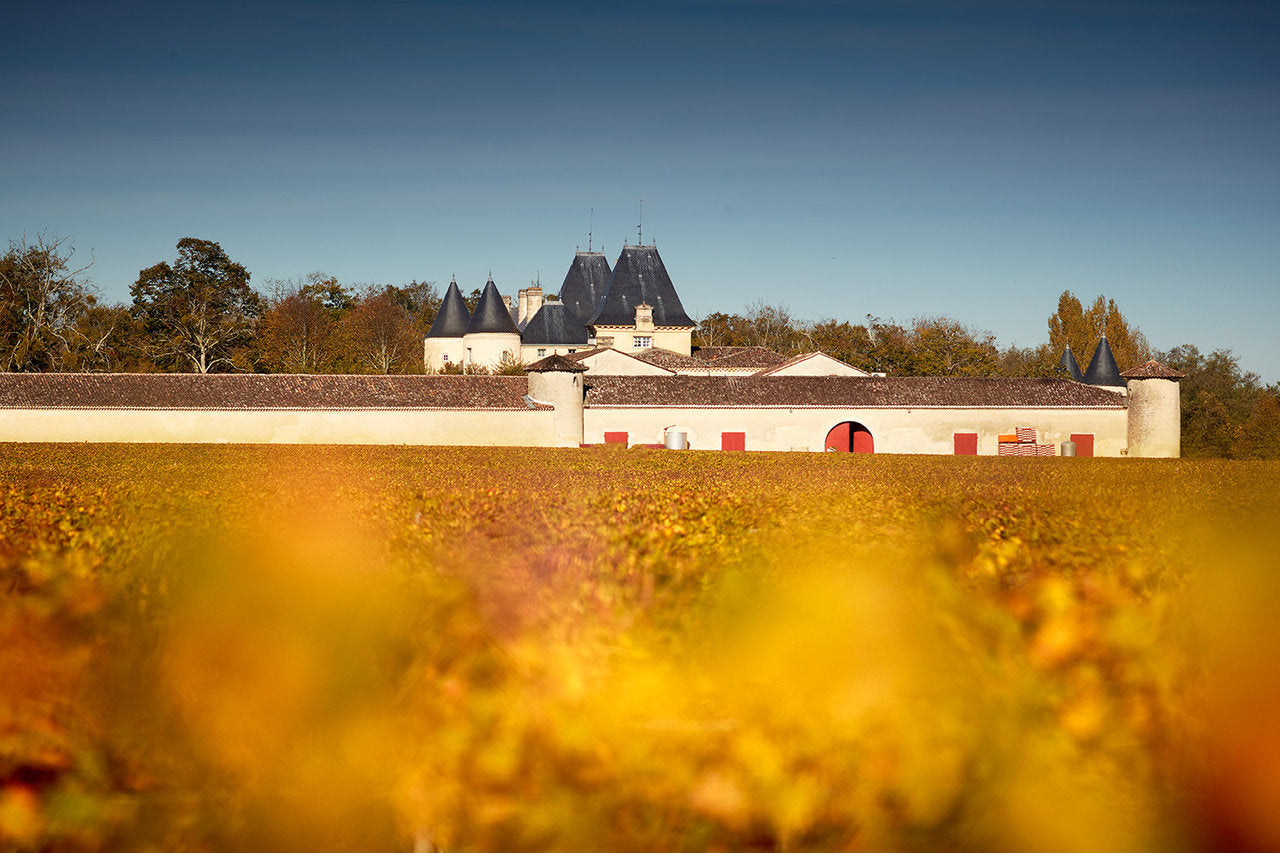 Château Suduiraut