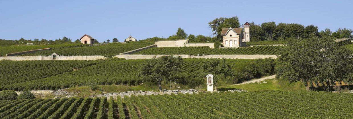 Domaine Girardin